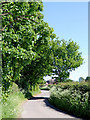 Lane east of Badger in Shropshire