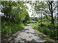 Lane west of Clun looking towards a hillside cottage