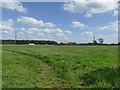 Field by the motorway