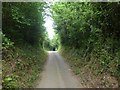 Cycle route, Hollow Lane, Exeter