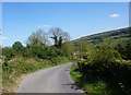 Minor Road towards Great Fryup Dale