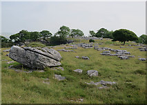 SD5579 : Newbiggin Crags by Hugh Venables