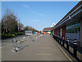 Improvised queuing system, ASDA, Gosforth, Newcastle upon Tyne