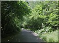 Newnham Lane approaching Firestone Copse Road