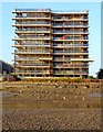 Kittiwake Court, Shoreham By Sea