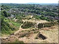 Disused quarry