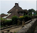 The Thatch, Silver Street, Lyme Regis 