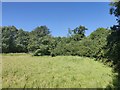 Small Field near Crastock Manor