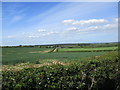 Hedgerow and farmland near Auchenheath