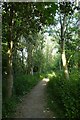 St. Nicholas Fields path