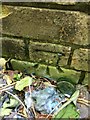 Benchmark on Damaged Brick Wall S Side Billey lane