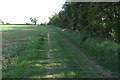 Footpath to Shrubbery Farm