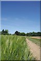 Bridleway from Carter