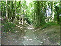 On Shelton Lane following the Severn Way