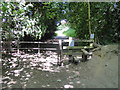 Stile and gate on Shelton Lane