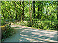 Path Over Brook near Cygnet Hospital