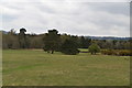 TQ2350 : Reigate Heath Golf Course by N Chadwick