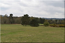 TQ2350 : Reigate Heath Golf Course by N Chadwick
