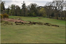 TQ2349 : Reigate Heath Golf Course by N Chadwick
