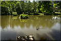 Fishing Lake, Churnet Way