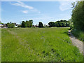 Stanley Marsh nature reserve: meadow