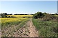 Footpath east of Burnside Farm