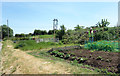 Allotments, Summerside Road