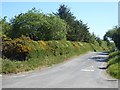 Country road near Well House