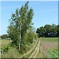 Field footpath at East Bridgford