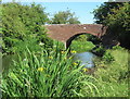 SP0375 : Worcester & Birmingham Canal bridge 68 by Roy Hughes
