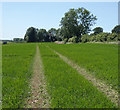 Farmland near Park Farm