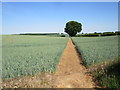 Bridleway to King Street