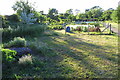 Allotments by the footpath