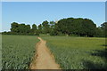 Footpath to the church