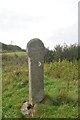 Old Wayside Cross