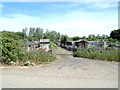 TM4291 : Allotments off the A146 by Geographer
