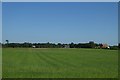 Farmland near Crabtree Farm