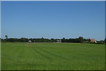 SE6243 : Farmland near Crabtree Farm by DS Pugh