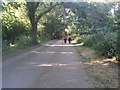 Path along Dollis Brook, Finchley