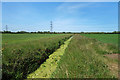 Weedy Ditch near Smokedown Farm