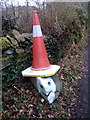 Conehead on L?n Hafoty, Tregarth