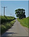 Cyclist on Woodcoates Road