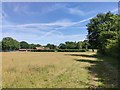 View of Whitmoor Farm from Footpath