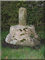 NY9913 : Old Wayside Cross by Mike Rayner