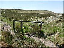 SE0020 : Footbridge on the approach to Great Manshead Hill by Stephen Craven
