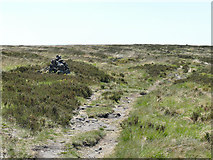 SE0020 : Cairn on the approach to Great Manshead Hill by Stephen Craven