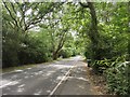 SU9455 : Aldershot Road by James Emmans