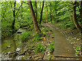 Boardwalk besides Gledhow Beck