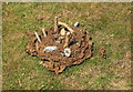 SX7476 : Cowpat art near Saddle Tor by Derek Harper