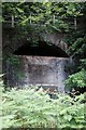 SO6510 : South portal of Blue Rock tunnel by John Winder
